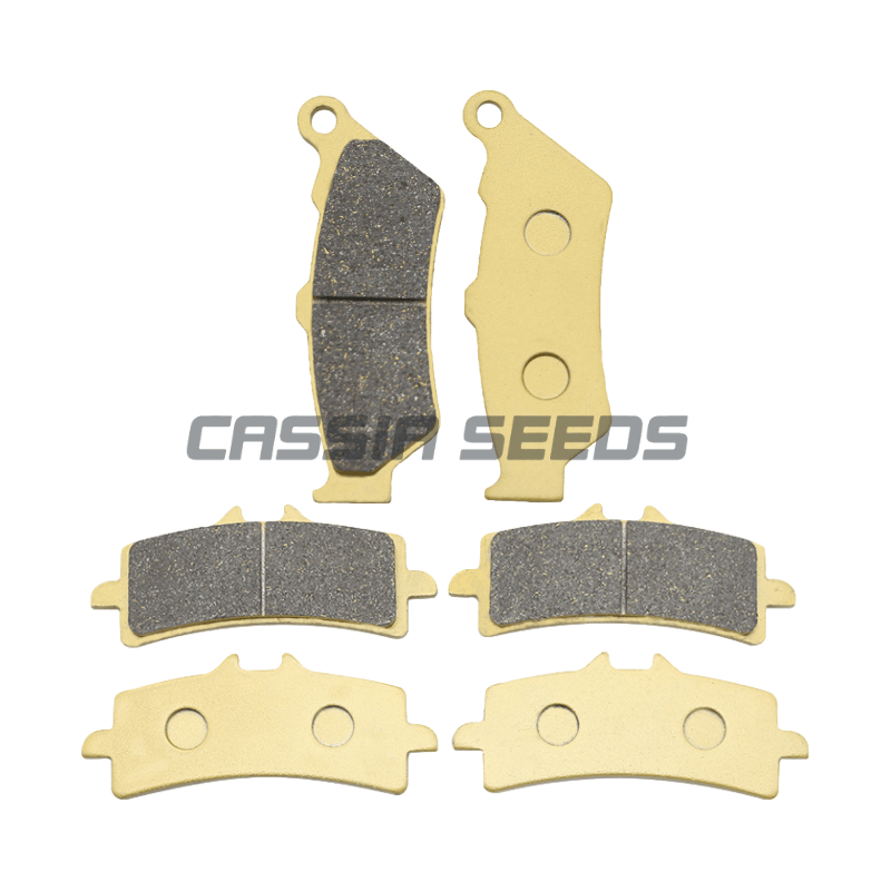 Carbon Ceramic Motorcycle Brake Rotor - Bantalan Rem Depan dan Belakang Sepeda