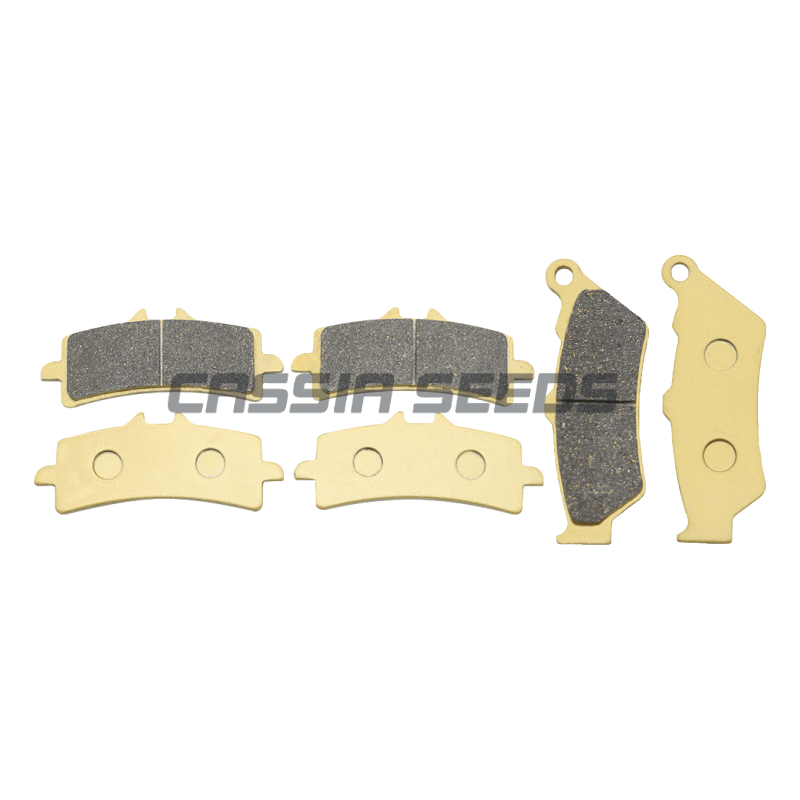 Bantalan Rem Depan dan Belakan - Carbon Ceramic Motorcycle Brake Rotor ulasan dan harga